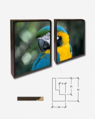 Duo Papagaio - Lacie Slezak