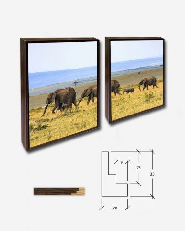 Duo Família de elefantes - Larry Li