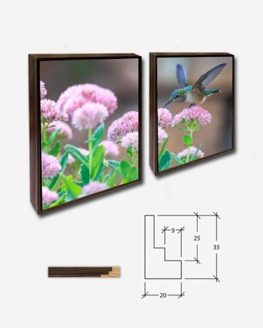 Duo Beija-flor - Andrea Reiman