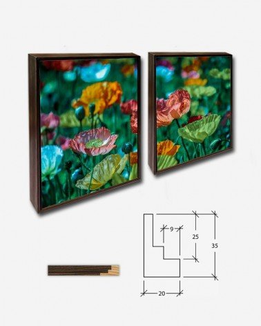 Duo Flores coloridas - Lina Angelov