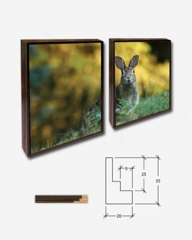 Duo Lebre selvagem - Gary Bendig