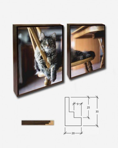 Duo Gato na cadeira - Kari Shea