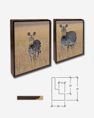 Duo Zebras na savana africana - George Brits