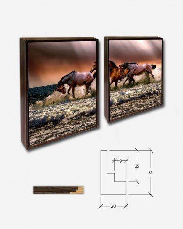 Duo Cavalos na praia - ATDS