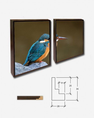 Duo Martim pescador - Kaoru Tanizaki