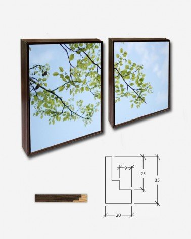 Duo Folhas nos galhos - Ravi Roshan