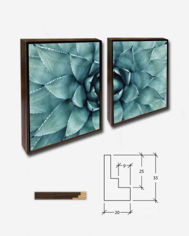 Duo Succulent center - Erol Ahmed