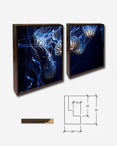 Duo Águas vivas - Daniel Codina