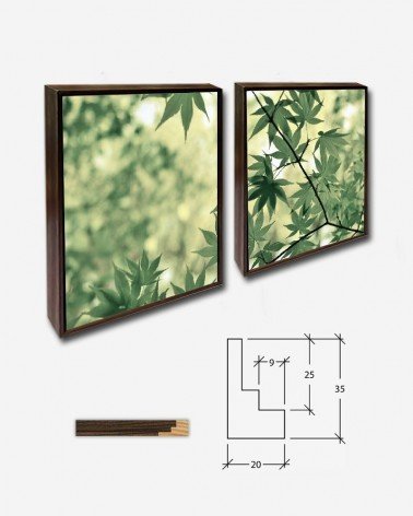 Duo Folhagens - Leo Rivas-Micoud