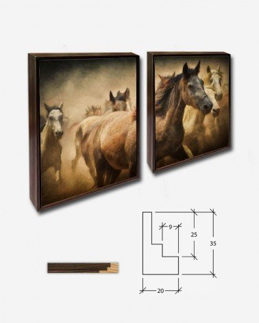 Duo Free herd - Cavalos selvagens