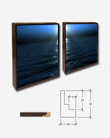 Duo Oceano ao luar - Vitaly Smolygin