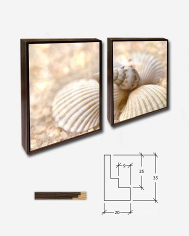 Duo Concha e caracol - Andrea Stöckel