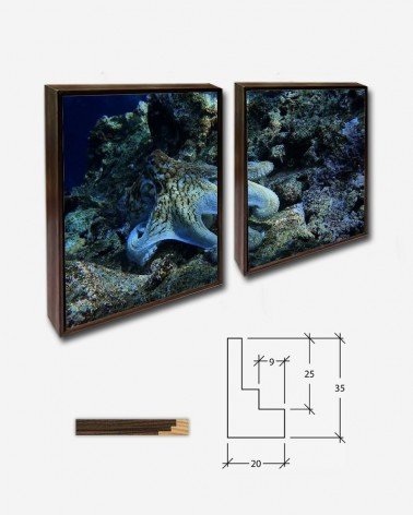 Duo Polvo - Jean Beaufort