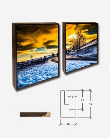 Duo Winter Landscape - George Hodan