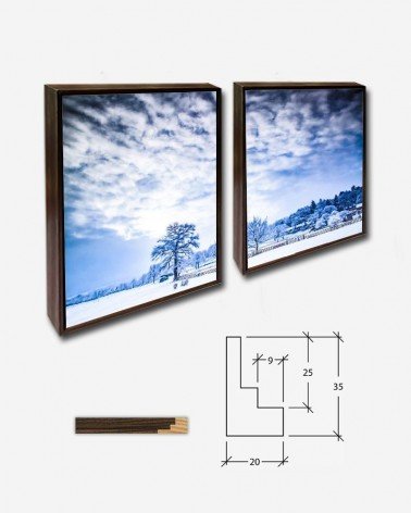 Duo Winter - George Hodan