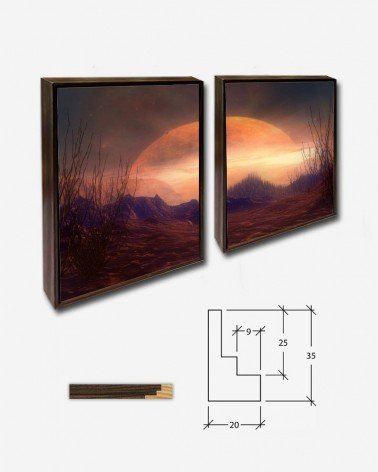 Duo Planeta fantasia - Rajesh Misra