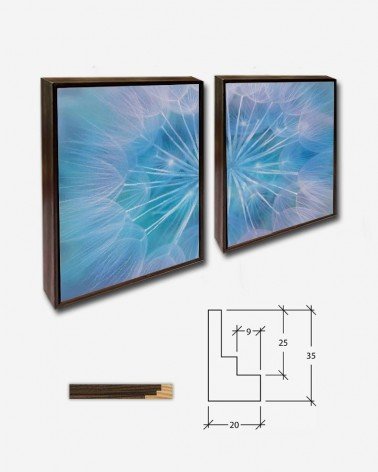 Duo Abstrato dente de leão - Andrea Stöckel