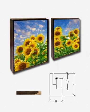 Duo Girassois do campo - Andrea Stöckel