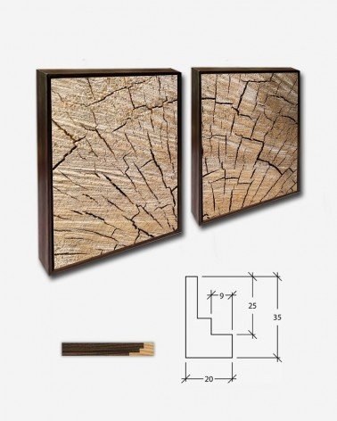 Duo Tree Stump Texture - Petr Kratochvil