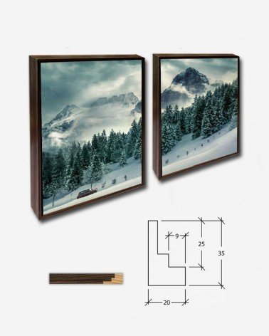 Duo Paisagem invernal - Alex Gruber